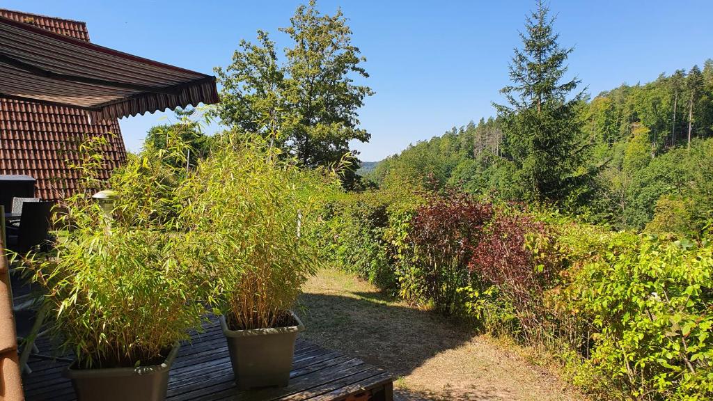 Ferienhaus am Wald photo 3