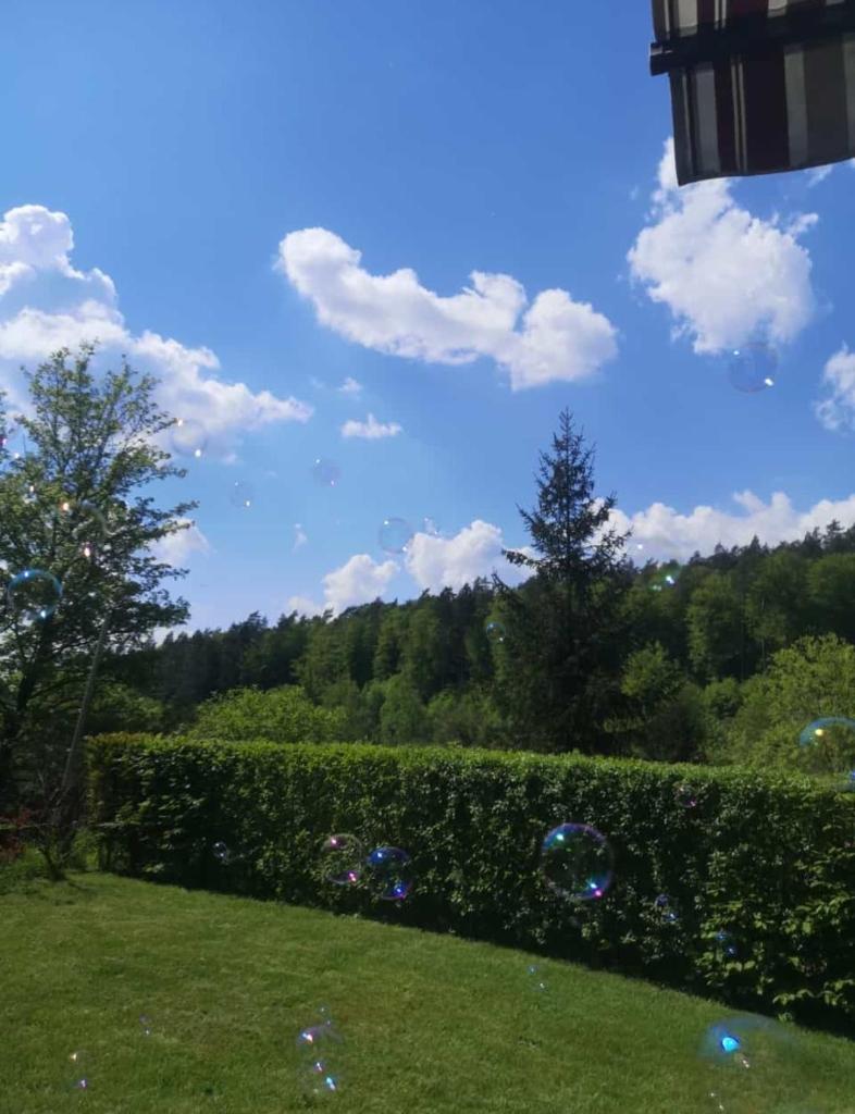 Ferienhaus am Wald photo 4