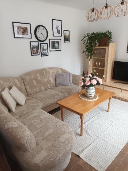Apartmán Zelenka photo 3