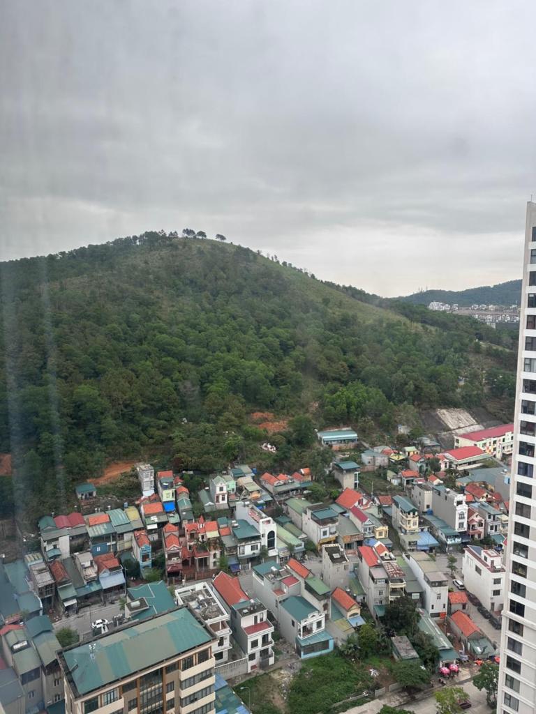 Green love Hạ Long