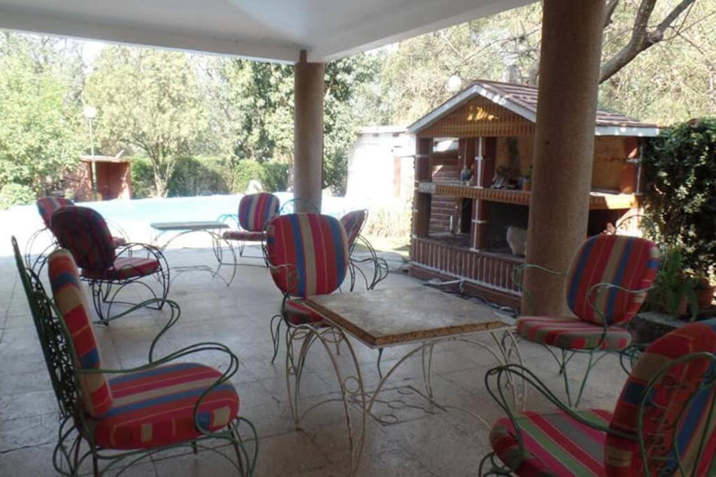 Yala photo 1