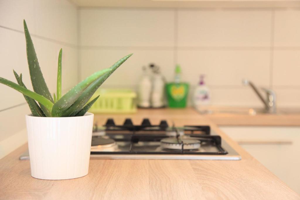 Apartment Vita photo 1