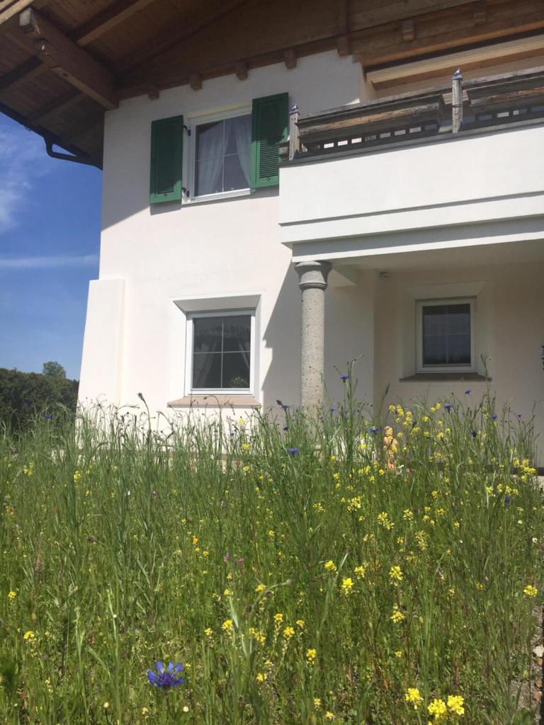 Casa45 photo 4