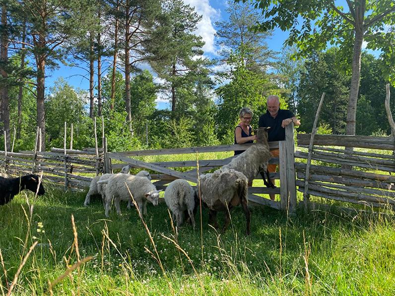 Vimmerby Stugby photo 3