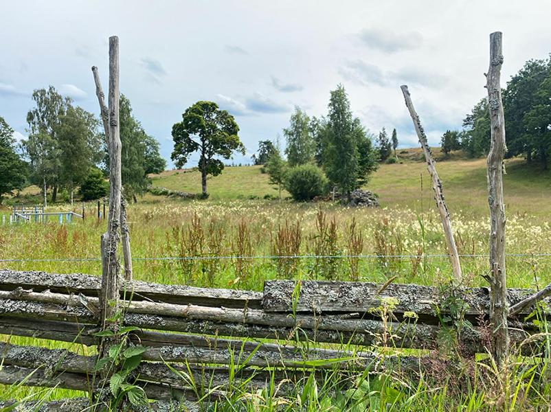 Vimmerby Stugby photo 4