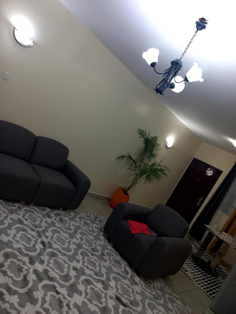 Brooklyn luxury apartment photo 3