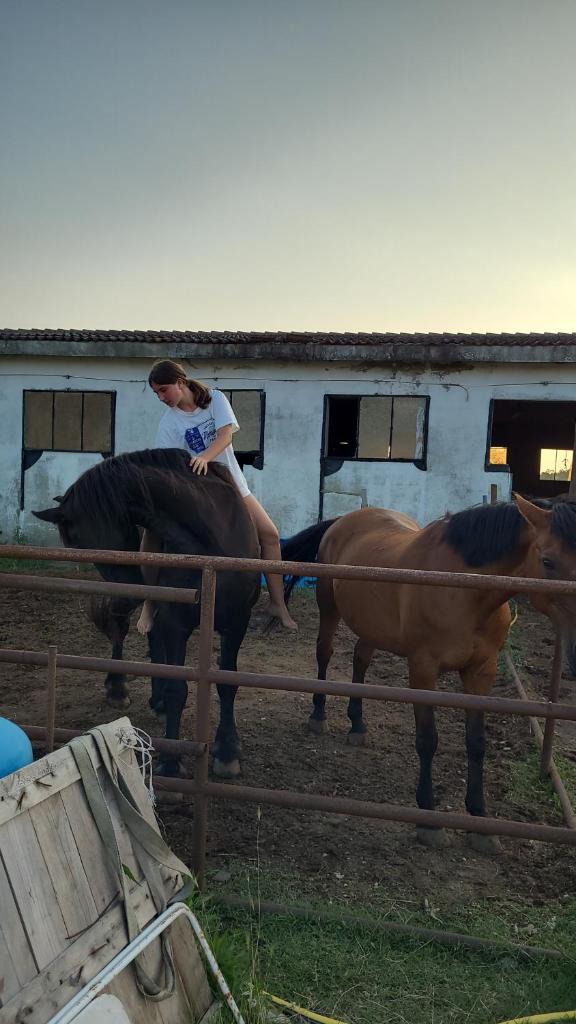 Maddy Appartamento photo 1