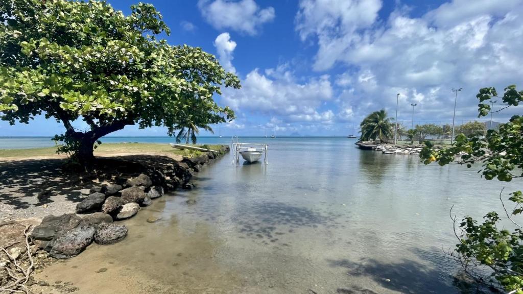 RAIATEA - Orion Hoe Bungalow