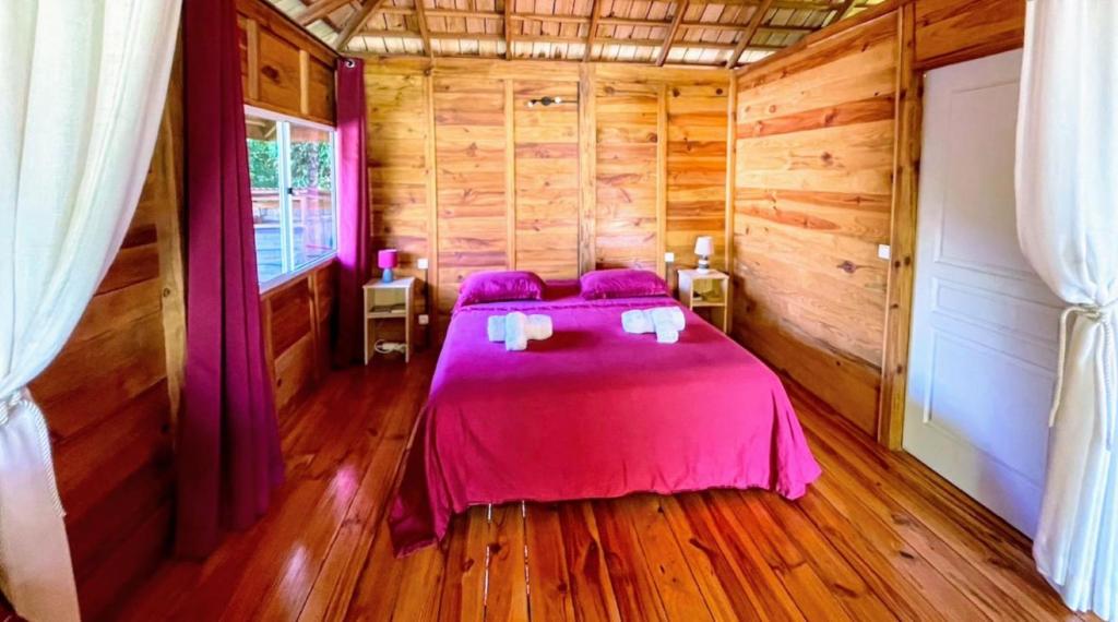 RAIATEA - Orion Pool Bungalow photo 3