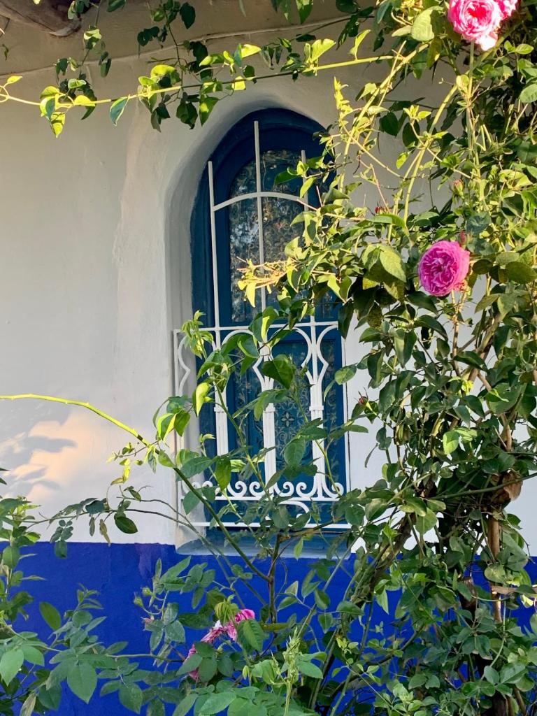 Dar Garindi photo 2