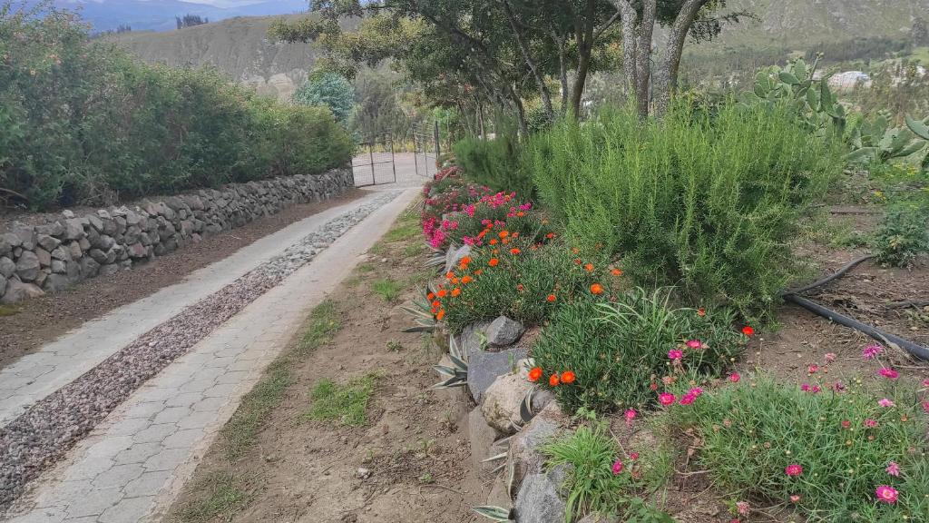 Rancho Descanso photo 2