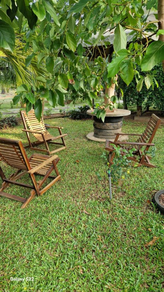 Luna Beach Hotel photo 1