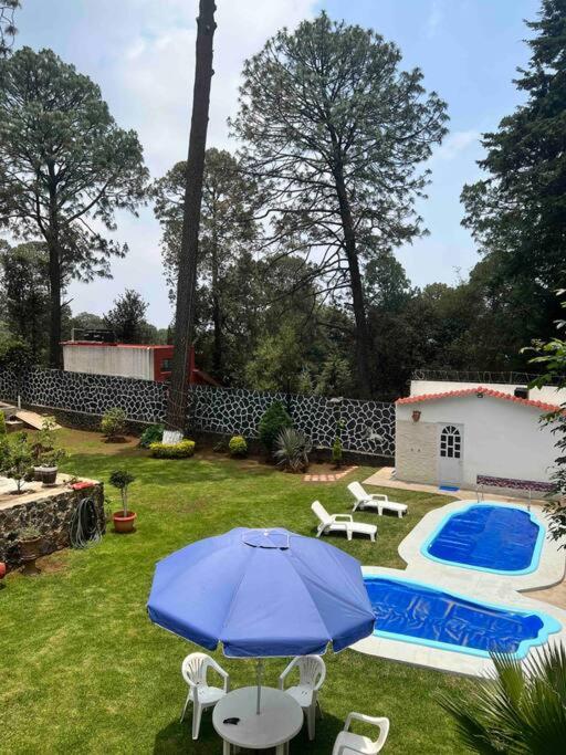Oasis del Bosque photo 2