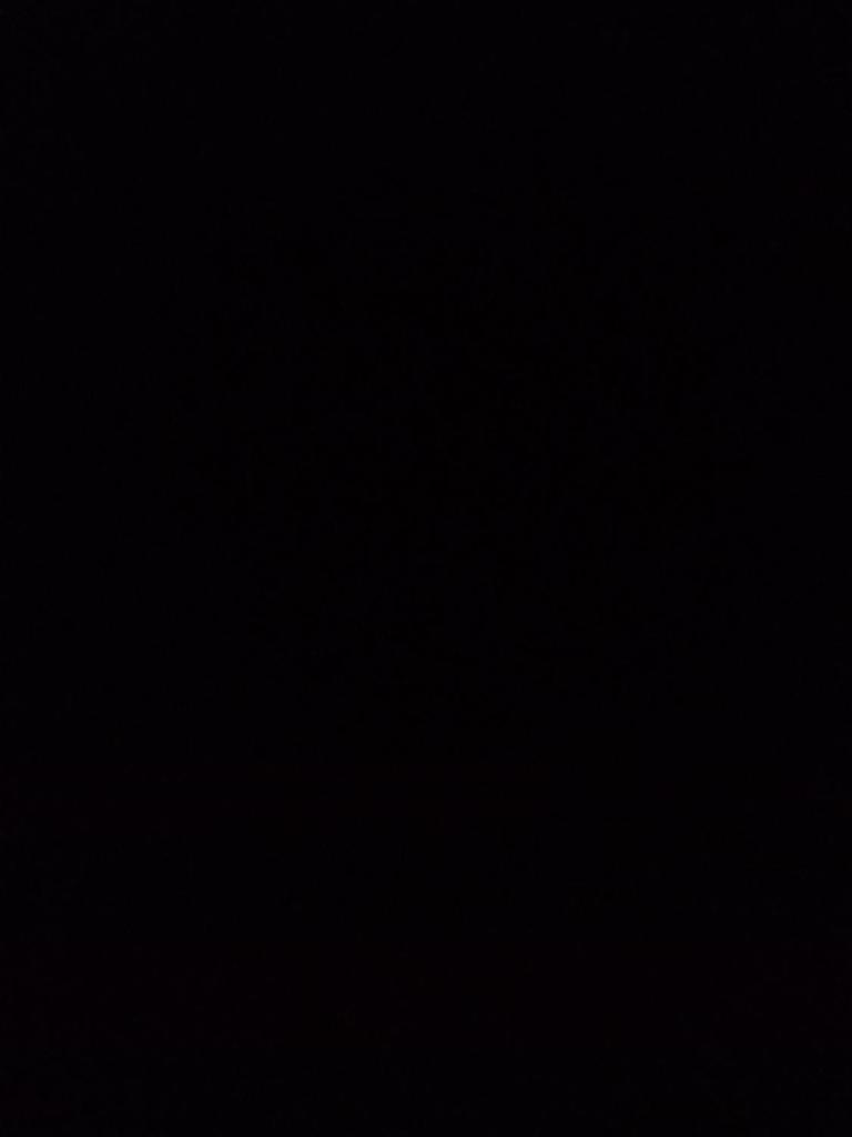 abo talat photo 4