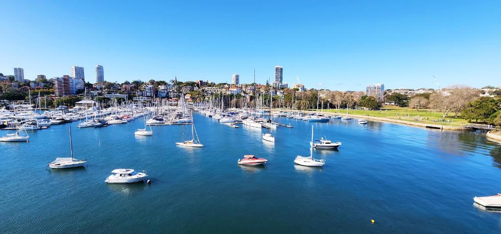 Absolute Waterfront with Oversized Private Terrace photo 1