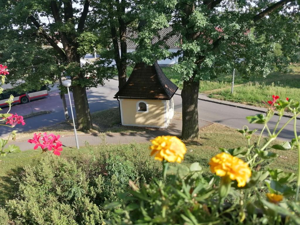 U Tří dubů photo 2