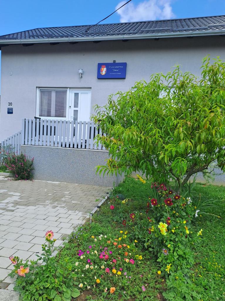Studio apartman Draga photo 1