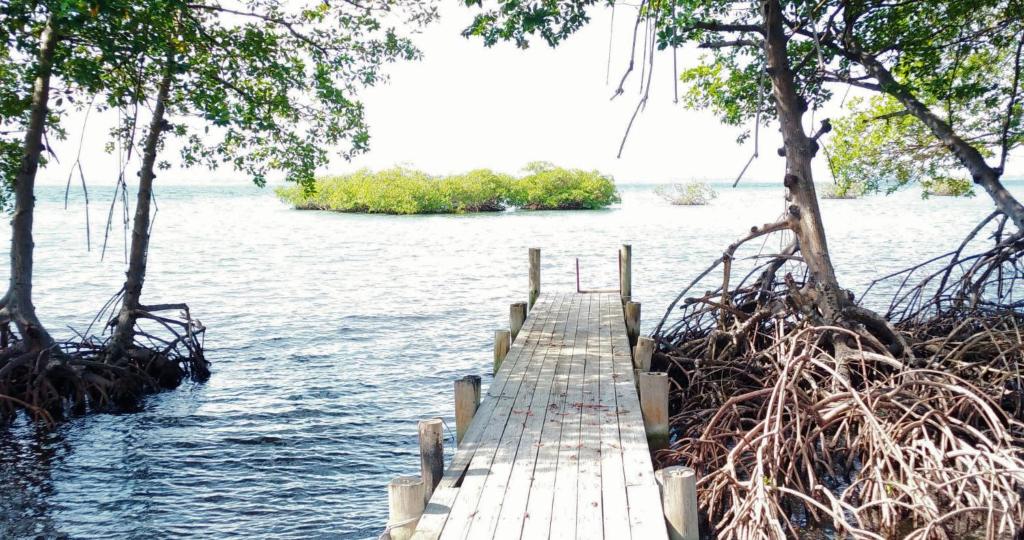 Coco Key EcoLodge - Breakfast - Sea photo 3