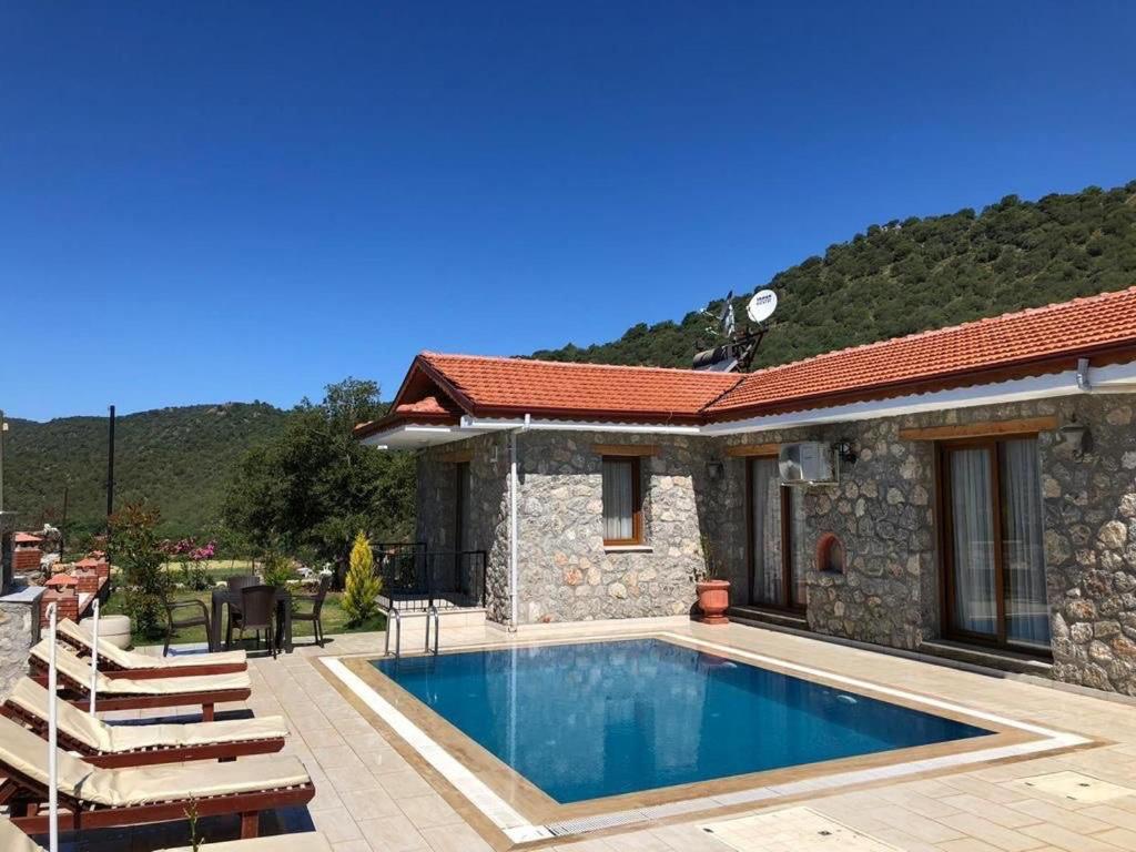 Villa Tulipa photo 2