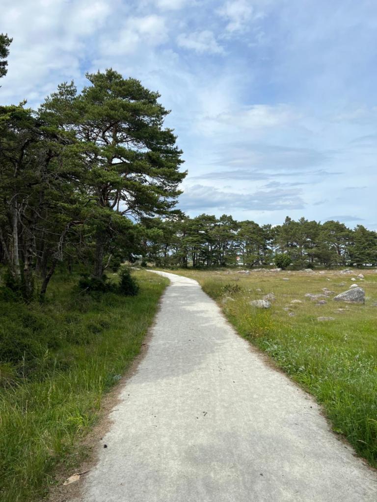 Gotland East Coast photo 1
