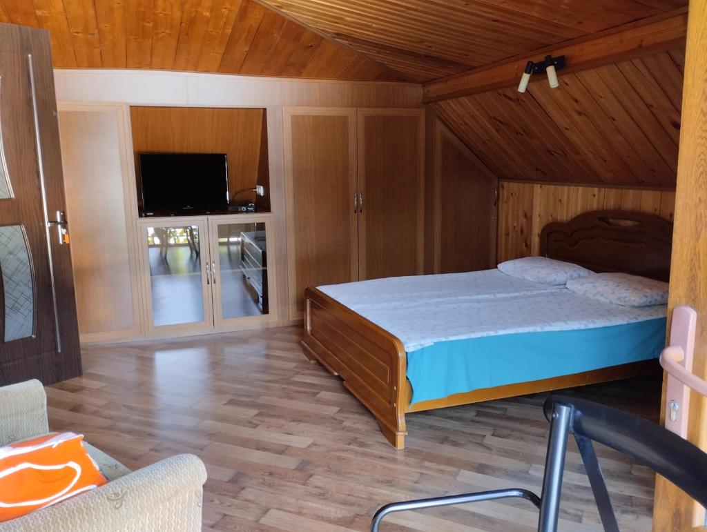 House in Borjomi photo 4