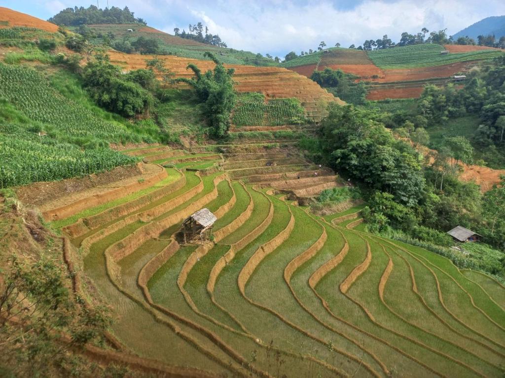 Thai Culture Homestay