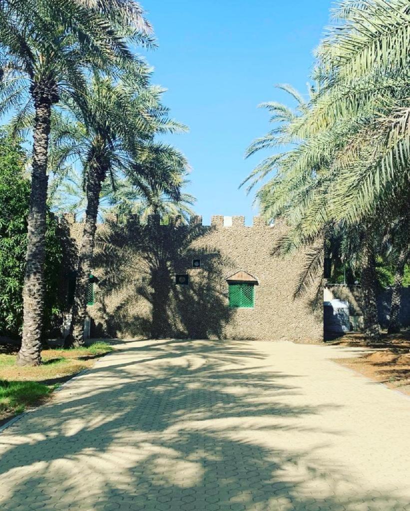 Bedya Farm photo 3