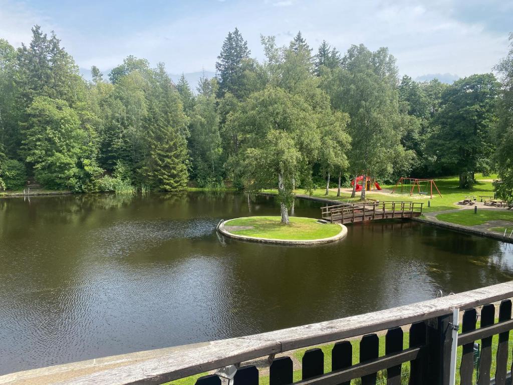 Das Waldseechalet Märchenhafter Waldseeblick - moderne Wohnung mit Infrarotsauna photo 3