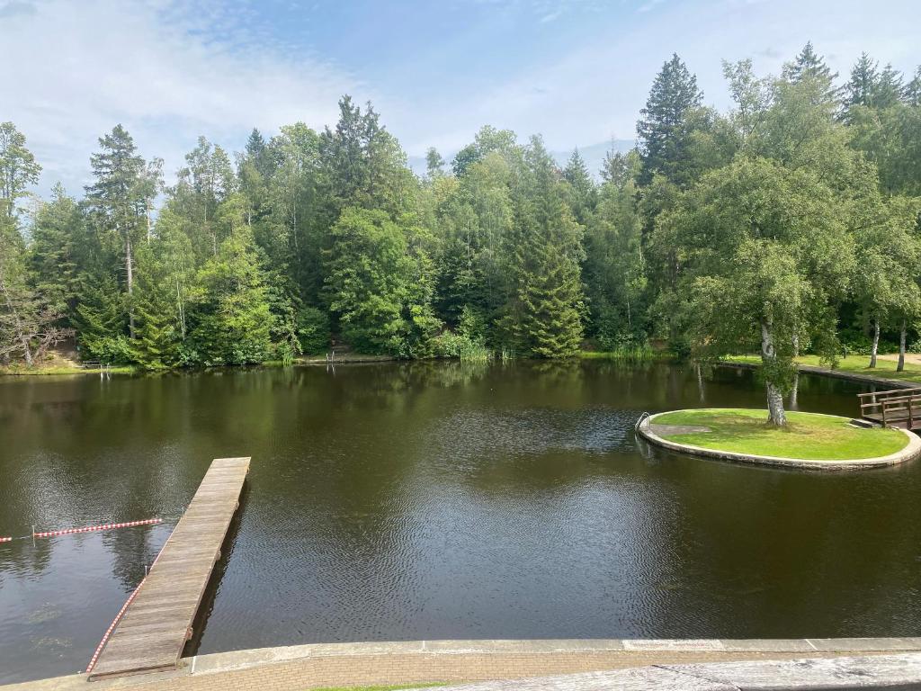 Das Waldseechalet Märchenhafter Waldseeblick - moderne Wohnung mit Infrarotsauna photo 2