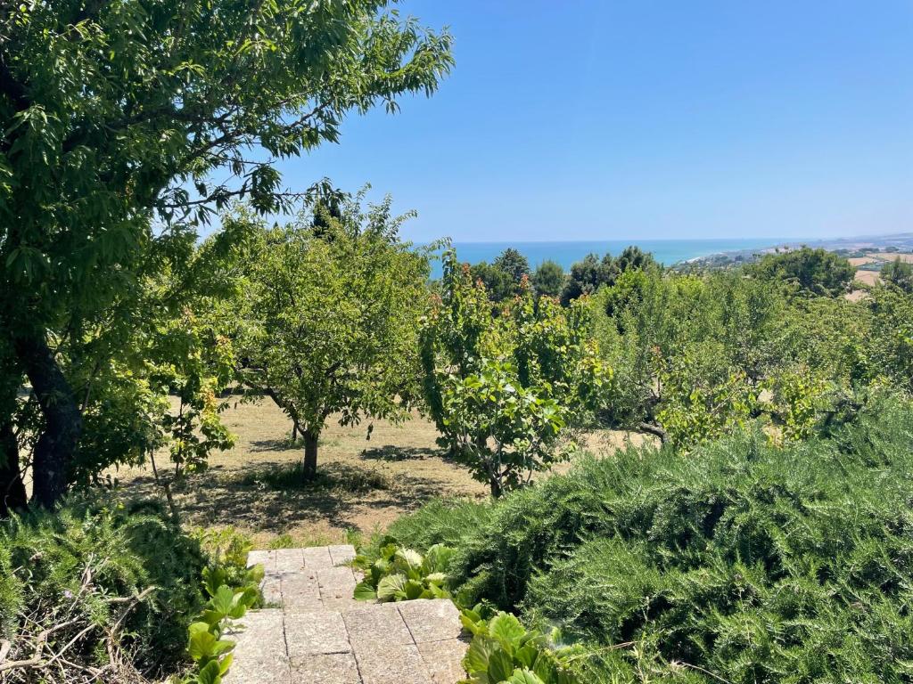 Villa Panorama Sirolo photo 2