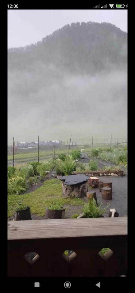 "Dzveli galavani" Tusheti Diklo "ძველი გალავანი" photo 2