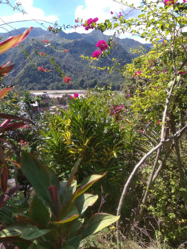 Cloud forest SAN CARLOS photo 4