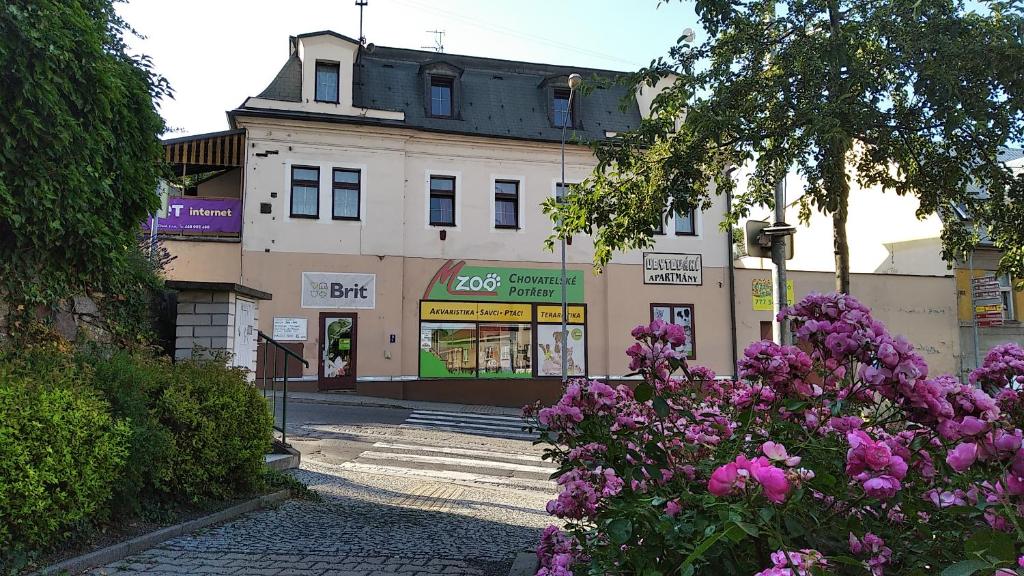 Apartmány Ledeč photo 2