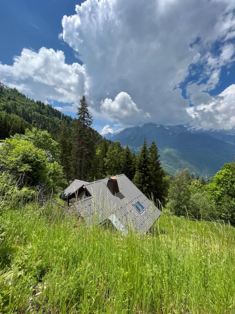 Chalet with mountainview photo 1