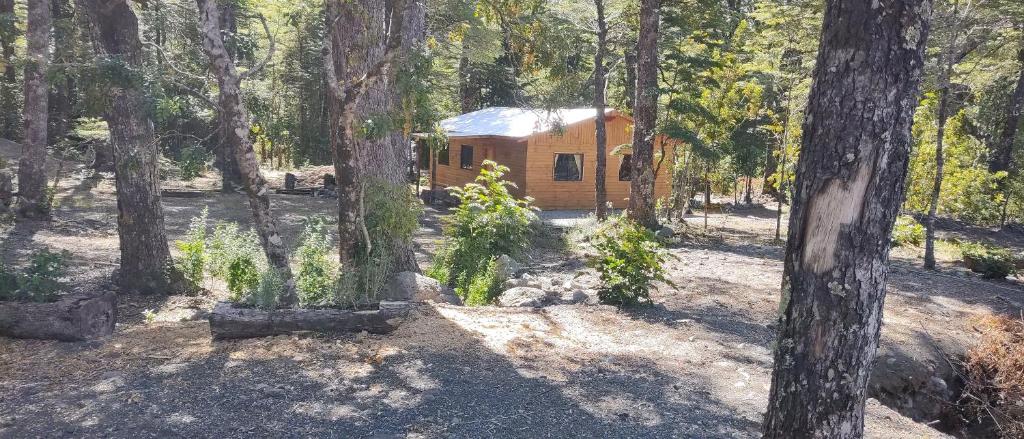 Cabañas pucon cerduo photo 2