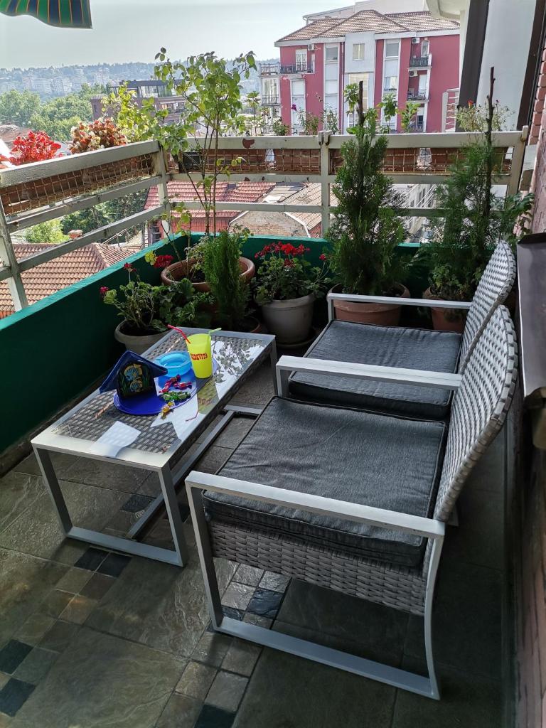 Rajana , Beograd - Hram Svetog Save photo 2