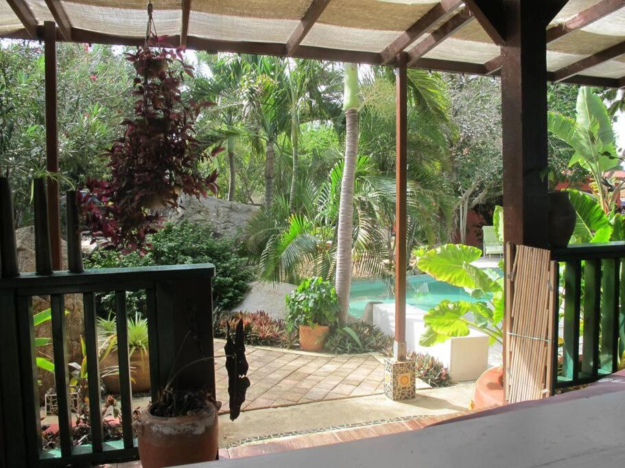 Villa in Aruba's nature's paradise photo 3