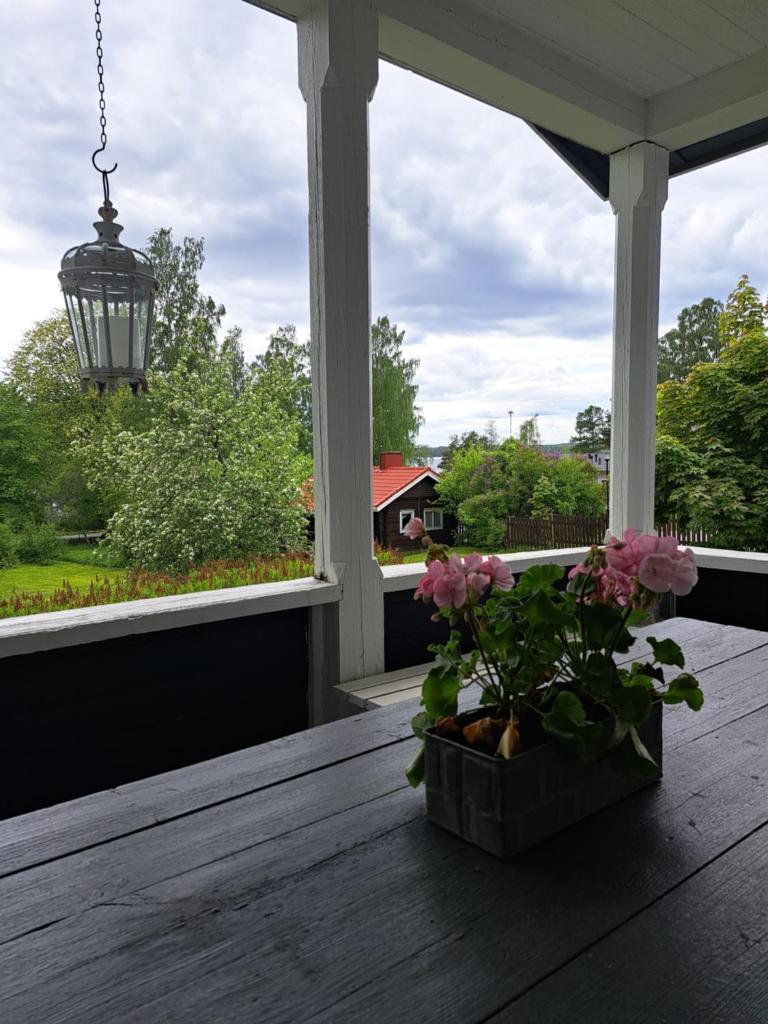 Villa Saimaan Sydän photo 2