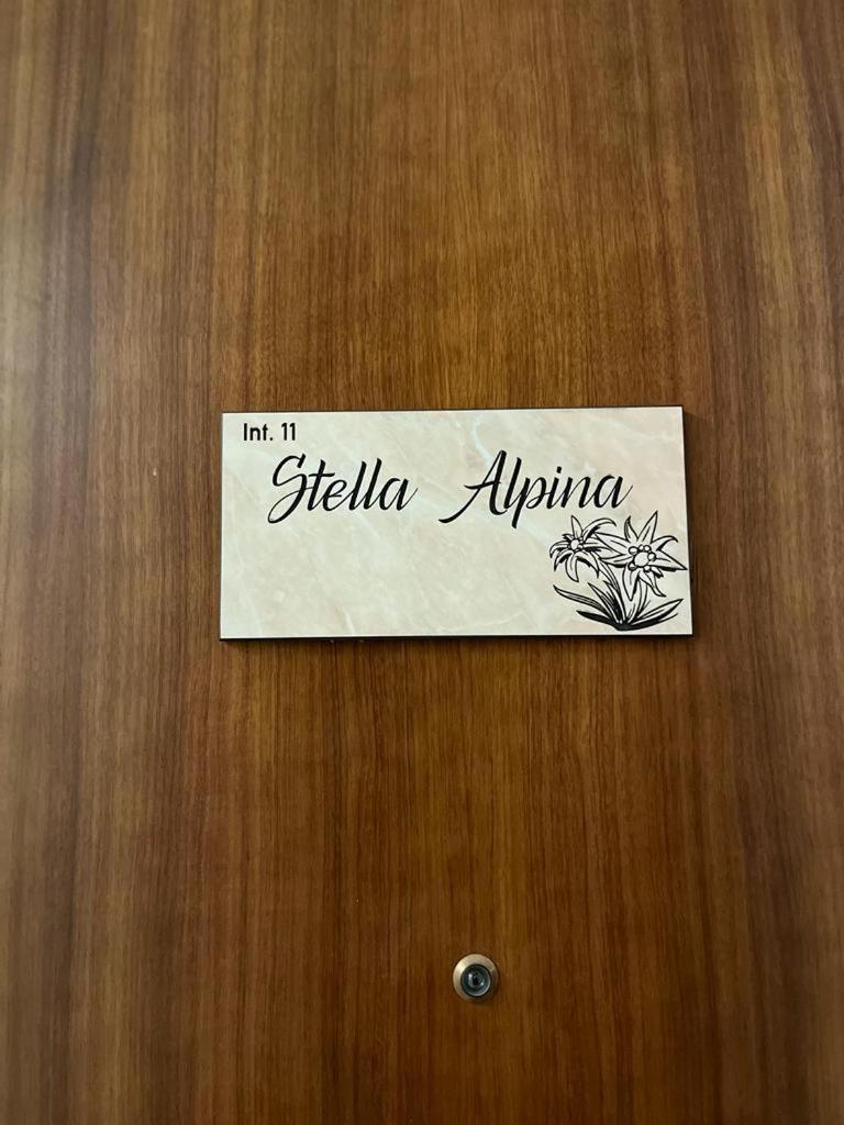 Stella Alpina photo 1
