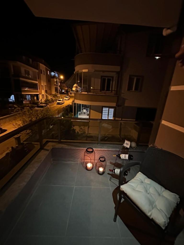 Zeytin dalı photo 3
