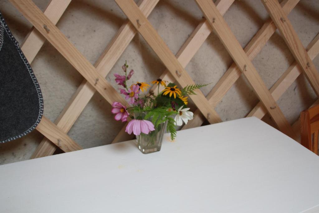 Kirgisische Jurte der Hofmühle Pfaffroda photo 4