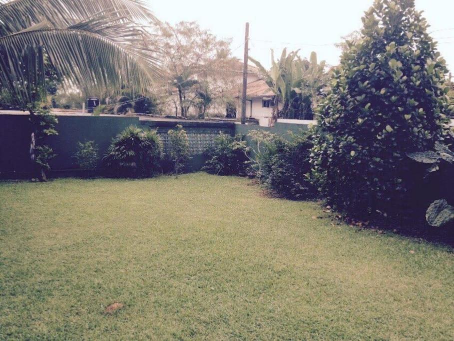 Luxury Colombo Escape photo 4