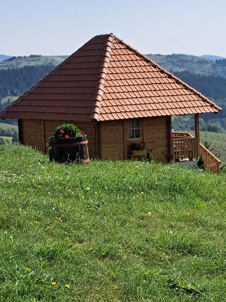 Etno domacinstvo Uvacki konaci photo 3
