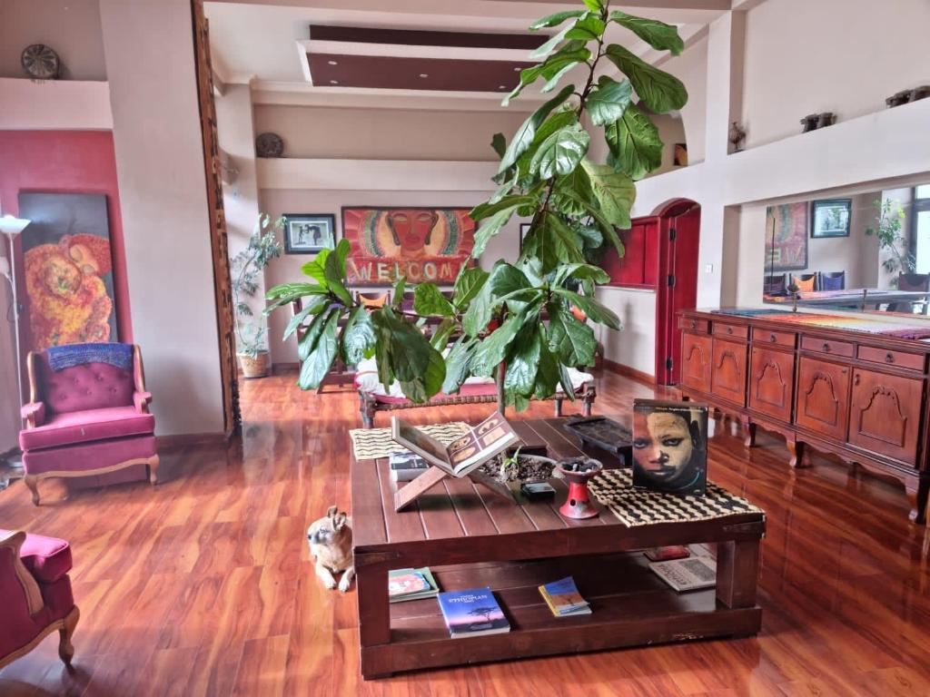 Kefetew Guest House photo 4