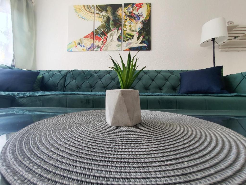 Apartman DANA photo 1