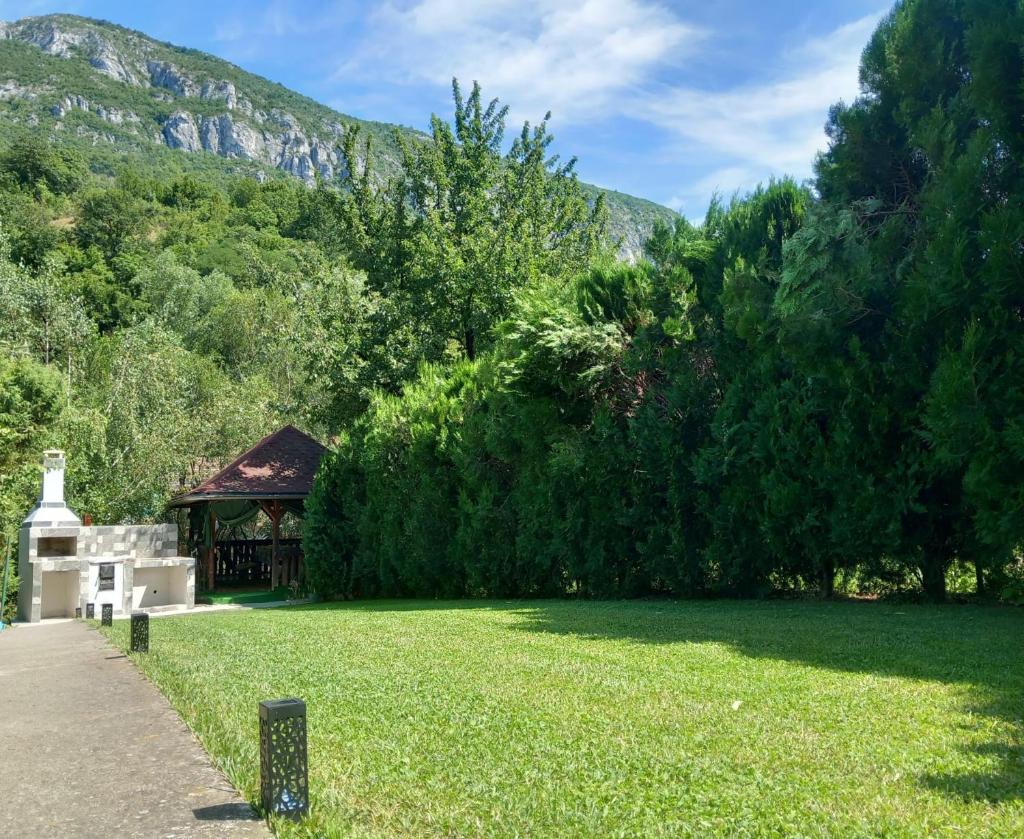 Casa Peneșel photo 4
