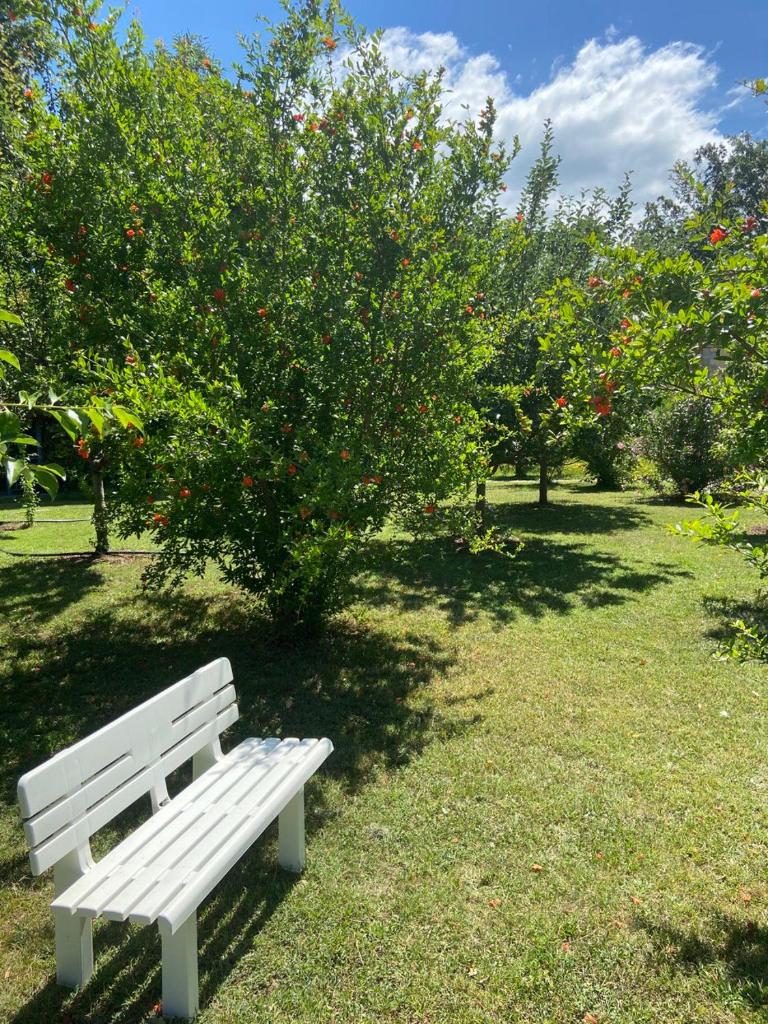 Frutak Villa Resort photo 4