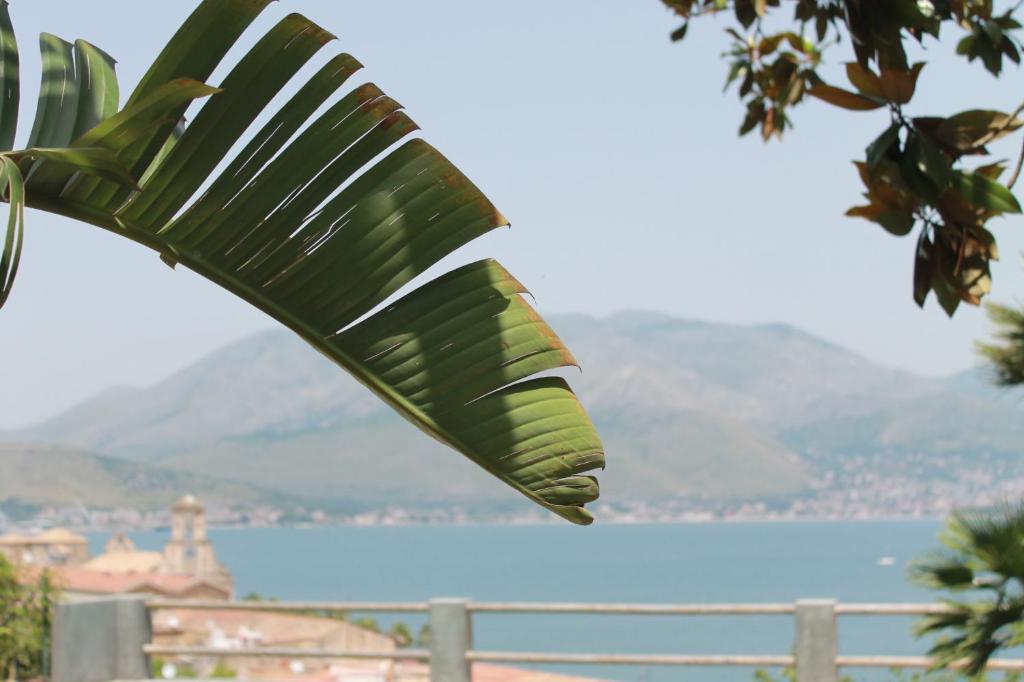Clori Gaeta photo 3