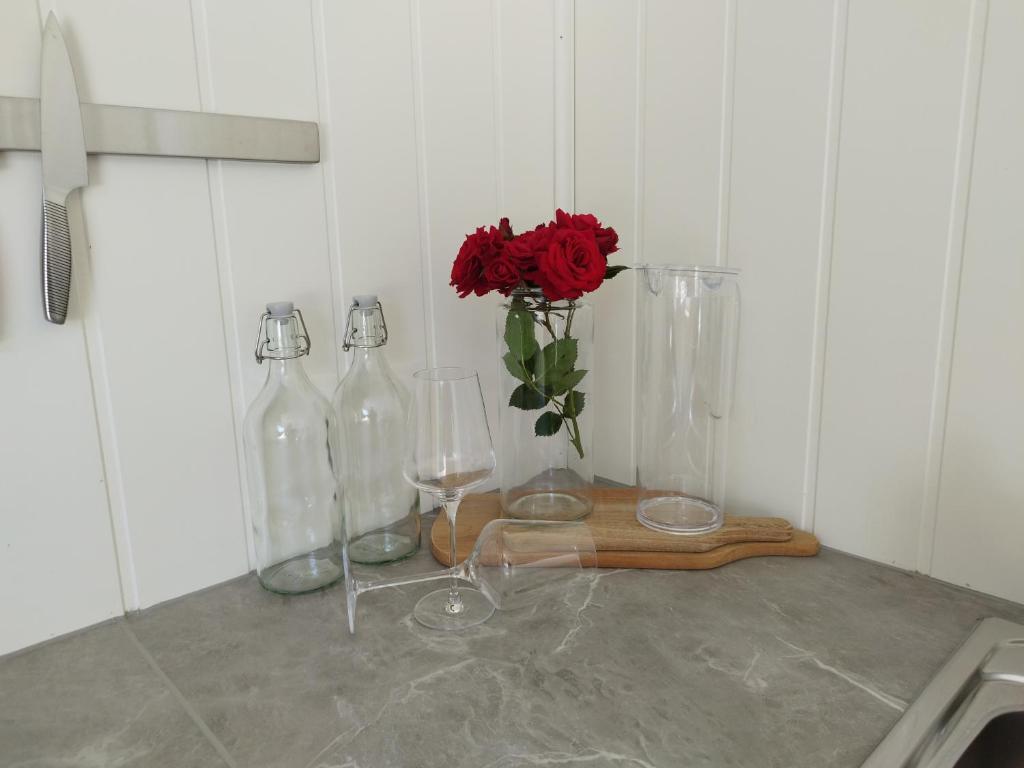Guesthouse with terrace photo 4