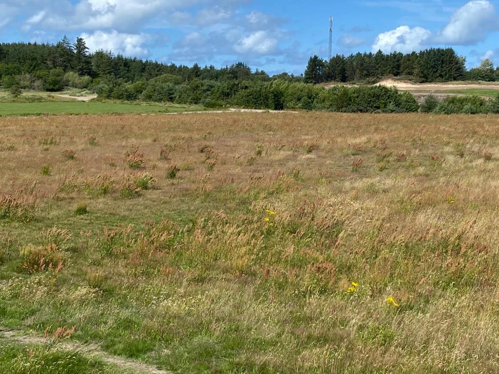 Blokhus-Hune Hotel og Vandrerhjem photo 1